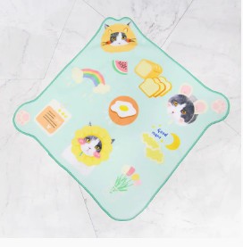 ما هي المنشفة السحرية؟